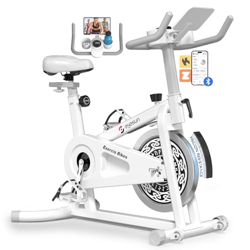 Exercise Bikes for Home,Indoor Cycling Bike with Adjustable Friction,Brake Pad Resistance Silent...