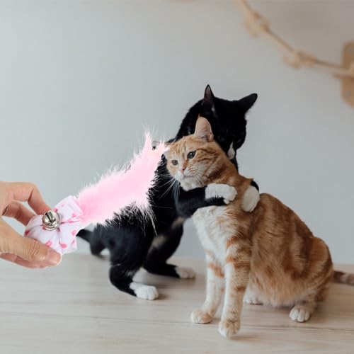BESPORTBLE 3 Peças Brinquedos Para Gatos Brinquedos Para Gatos Adoráveis ​​Brinquedos Interativos Pa