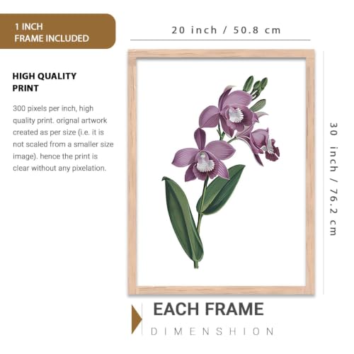 Image of kotart Floral Wall Art Home Decoration | Aesthetic Paintings With Frame For Living Room Bed Room Hotel Wall Decor Digital Reprint Set of 3 (20x30 Inch)
