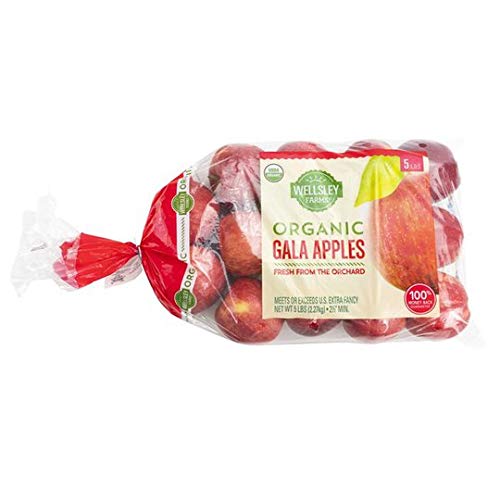 The 21 Best Fresh Gala Apples of 2024 [Verified] Cherry Picks