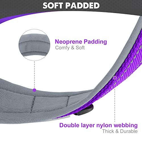 Joytale 19-23 Inches Dog Collar And 6Ft Leash, Reflective Heavy Duty Neoprene Padded Pet Collars And Leashes For Large Dogs #TOP4