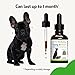 Pet Wellbeing Young at Heart for Dogs - Heart Health, Circulatory & Cardiovascular System, Hawthorn, Motherwort, Schisandra - Veterinarian-Formulated Herbal Supplement 2 fl oz (59 ml)