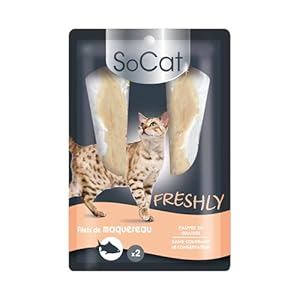 RIGA – SoCat Freshly – Friandises pour Chat – Tendre Filet De Maquereau – Riche en Protéines – Faible en Graisses – sans Colorant Ni Conservateur – Récompense Idéale – 2 x 12 g