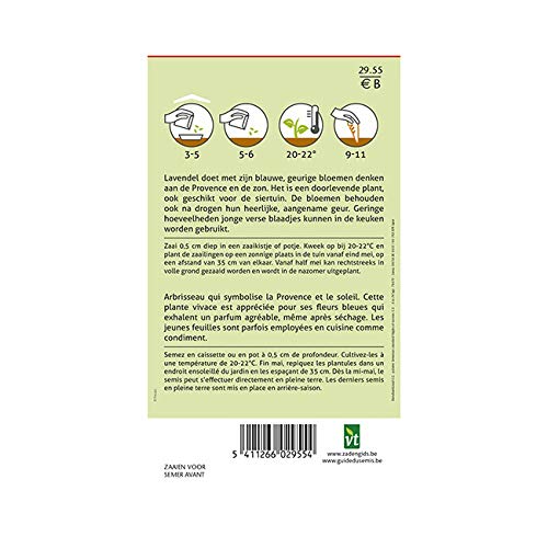 Lavendel - kruidenzaad - Afbeelding 3