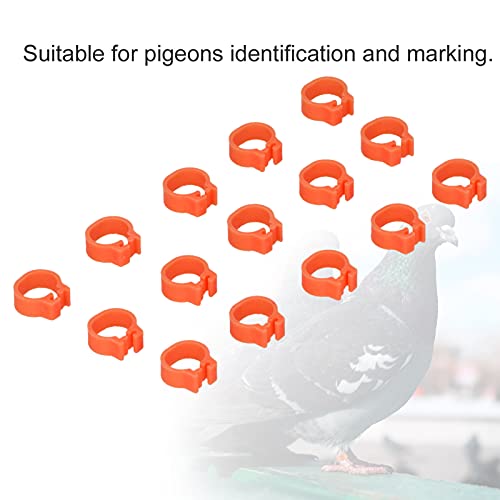 100 peças de identificação 8 mm anéis de perna de identificação faixas de perna de aves sem palavras