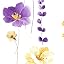 Purple & Yellow