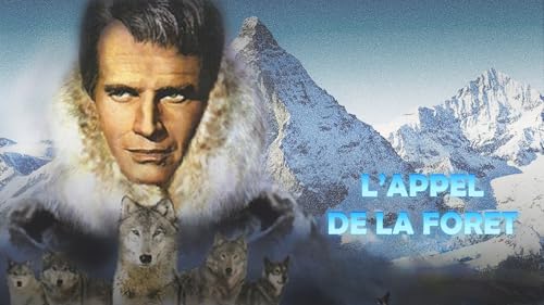 L'appel de la forêt – vue 2