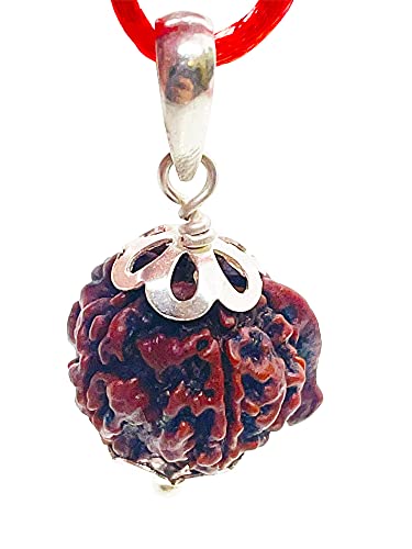 Image of Siddha Pure Ganesha Rudraksha, Laboratory Certified, Carefully Capped with Silver Between Nepalese Beads with Tassel, Size 16mm-22mm, Color-Brown (Ganesh Rudraksha Silver)