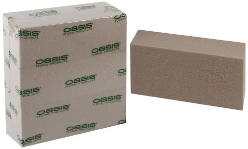 Oasis SEC Dry Foam (Box contains 4 Bricks)