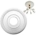 Ceiling Medallion 12 Inch, Round PU Ceiling Medallions for Light Fixtures, Decorative Retro Lamp Panel for Replacement Canopies Home Chandelier Fans Cover Plate Fan Medallion