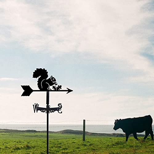 Ydhnb Squirrel Weather Vane For Garden Retro Owl Elk Weathervane Stainless Steel Creative Garden Stake Wind Direction Indicator For Yard Farm Sheds,Style 1 #TOP6