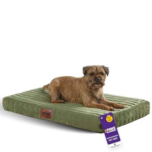 Slumberdown Orthopedic Dog Bed Medium - Supportive, Cushioned & Washable Crate Mattress for Dogs & Cats | UK-Made, Joint & Pressure Relief, Edge-to-Edge Support, Green
