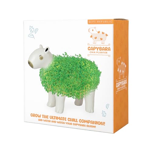 Pot de fleurs Chia Gift Republic céramique solution plante bureau