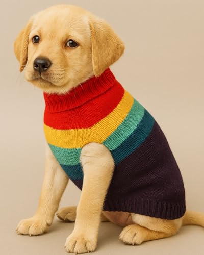 Lana Paws Rainbow Dog Winter Sweater for Puppies, Kittens, Small Cats, Miniature Dog Breeds & Similar, Size 10