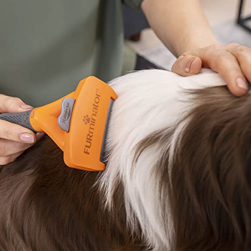 FURminator Ferramenta de remoção de pelos para cães de pelo médio longo, 9-23 kg