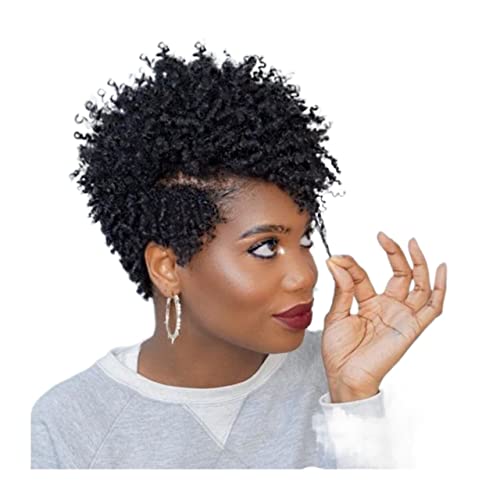 Wigs Short Curly Afro Human Hair Wigs for Black Women 8" Fluffy Pixie Cut Wigs Natural Side Bangs Cut Brazilian Remy Hair Full Machine Short Pixie Wigs Cosplay Wigs (Color : #1B-33, Size : 8inches)