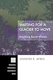 Waiting for a Glacier to Move: Practicing Social Witness (Princeton Theological Monograph)