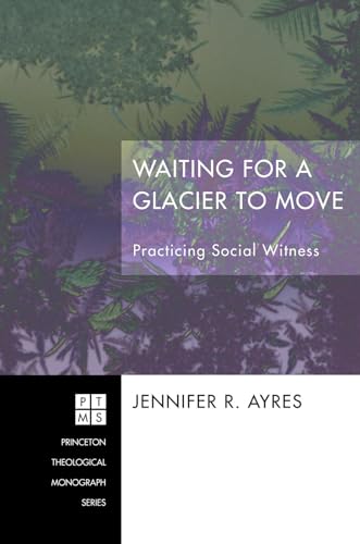Waiting for a Glacier to Move: Practicing Social Witness (Princeton Theological Monograph)