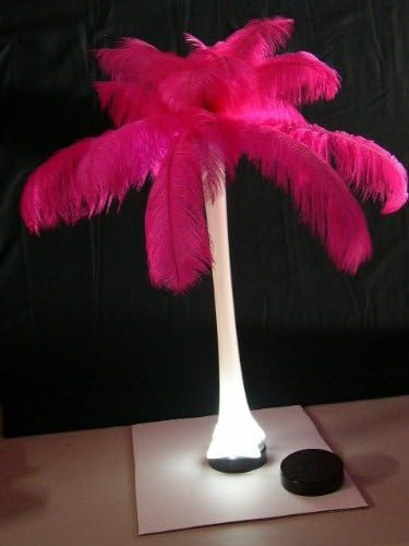 Light Plate~1-Pedestal--Illuminated Light Base 4" inch- Black Plastic-Round Battery Operated 9 Bright White LED Lights