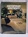 Contemporary apartments (The Worlds of Architectural Digest)