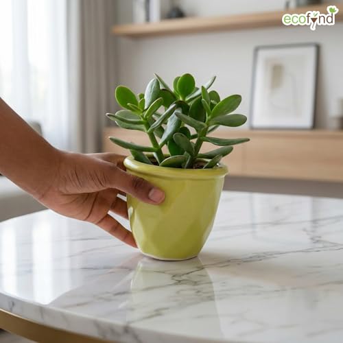 Image of ecofynd 4 Inch Ceramic Plant Pots with Drainage Hole, Modern Decorative Clay Flower Pots for Indoor Plants, Home Garden Decor for Living Room, Bedroom & Interior Spaces (CPOT043-LGN)
