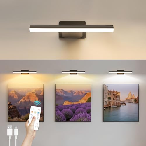 AMFUN Luce Per Quadri Senza Filo, Lampada Da Parete Ricaricabile con Telecomando, Luci LED Applique Con 3 Temperature Di Colore, per Esposizione Pittura Vetrina, Nero