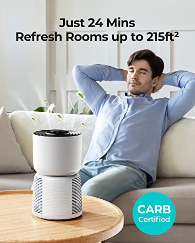 https://m.media-amazon.com/images/I/41RAPkW-KCL._SL500_.jpg