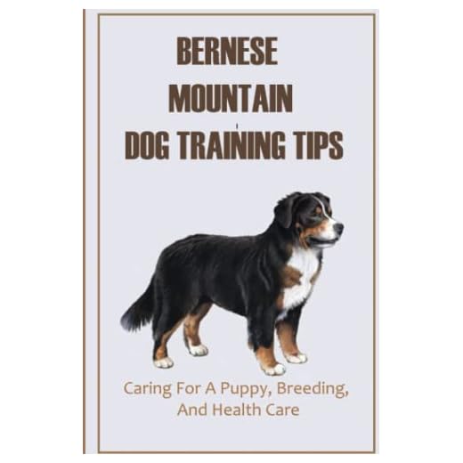 Bernese Mountain Dog Training Tips: Caring For A Puppy, Breeding, And Health Care