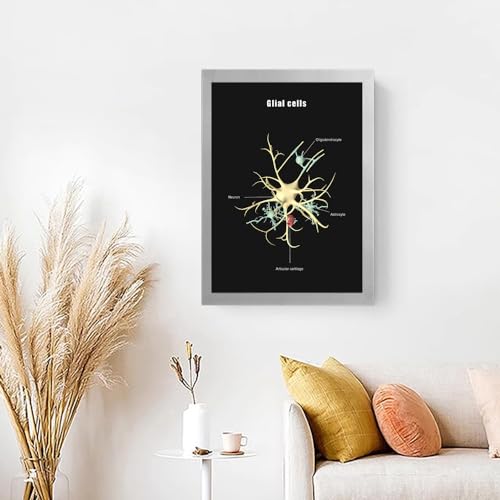 Image of Taanfu Body Educational Learning Anatomy Posters ，Glial cells Art cells Villi Anatomy Art Poster Digestive System Organs Illustration Small Intestine Physiology Anatomy Wall Art Villi