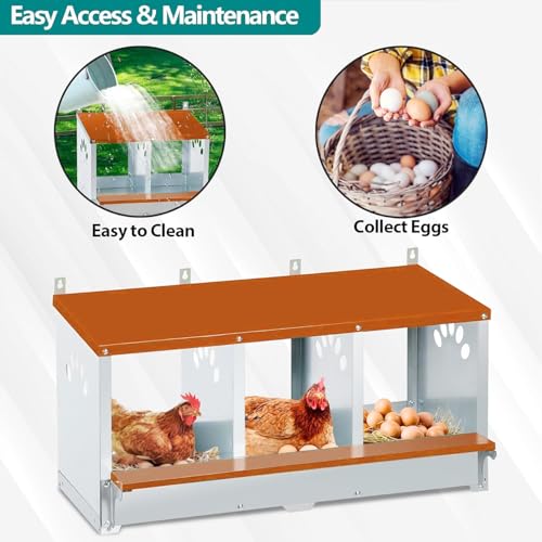 Toriexon Caixa de encaixe de frango resistente, caixas de encaixe de metal para frango (laranja, 3 c