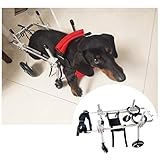 ❤ Rollstuhl Haustiere Hinterhand Gliedmaßen Behinderung Rehabilitation Rollstuhl Hund Reha Fahrzeug Tier Hilfshalterung vierrädrigen Roller.