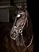 LeMieux Arika Drop Bridle - Black/Silver - Full