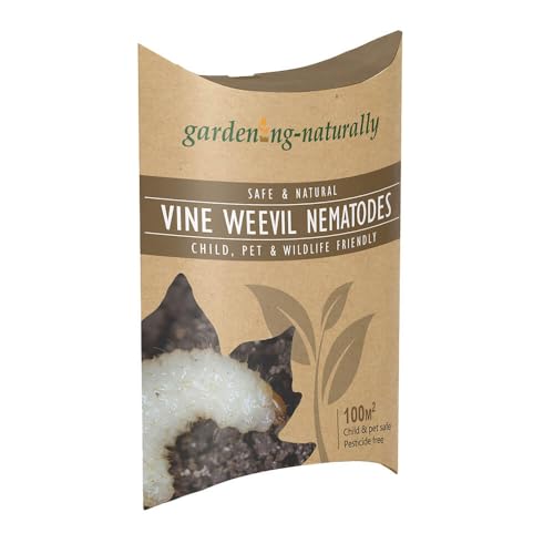 Vine Weevil Nematodes Natural Organic Killer Treats 100sq.m