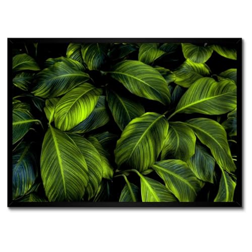 Poster dans un cadre blanc d'art botanique feuilles vertes haut de gamme 70x50