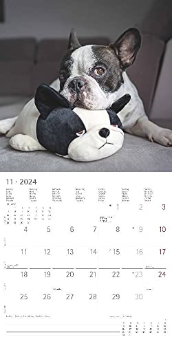 Funny Dogs 2024 - Broschürenkalender 30x30 cm (30x60 geöffnet) - Kalender mit Platz für Notizen - Hunde - Bildkalender - Wandkalender - Hundekalender