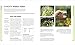 Veg in One Bed New Edition: How to Grow an Abundance of Food in One Raised Bed, Month by Month