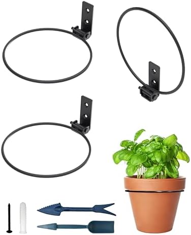 Amazon.com : Darware Metal Wall Planter Rings (8-Inch, 4-Pack); Wall ...