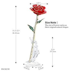 Valentines Day Gift Rose,24k Gold Real Rose Gift for her and Great Valentines Gift for her Rose, red Rose with Stand Valentines Day Gift Rose24k Gold Real Rose Gift for her and Great Valentines Gift for her Rose red Rose with Stand