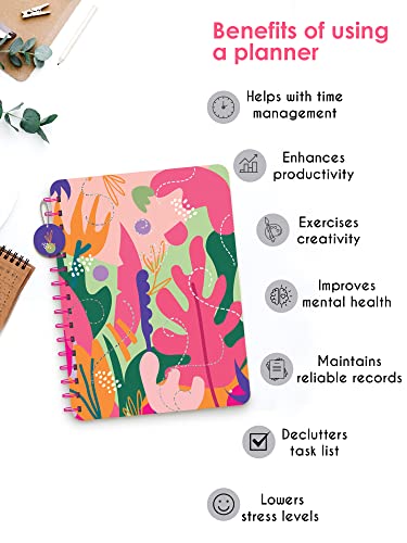 Image of Doodle I The Happiness 2024 Planner I Undated B5 Planner + 4 Sticker Sheets + 64 Pages Pocket Planner with Premium Gift Box | Tear Away Note Cards & Quote Cards | Activity Pages | To do lists I 268 Pages I 80 GSM I Wiro Bound (Spring Melody)