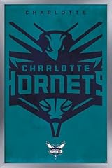 Silver Framed Version