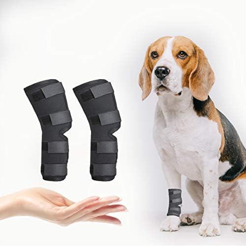 beagle knee brace