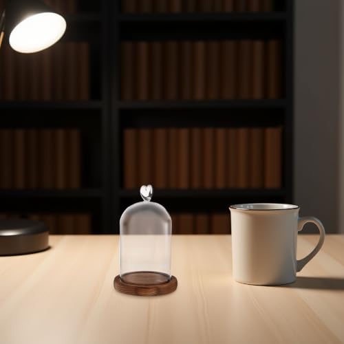 Cúpula de cristal para proteger flores del polvo con luz integrada 6