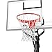 Spalding 54