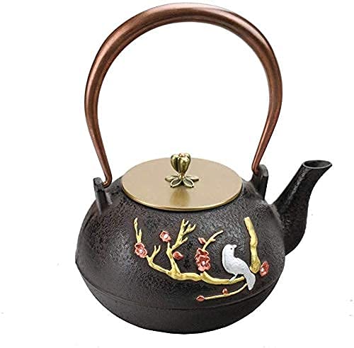 Tetera de hierro fundido de estilo japonés con infusor Tetera de hierro fundido con pared interior oxidada sin recubrimiento Tetsubin Tetera para estufa Segura para té de hojas sue