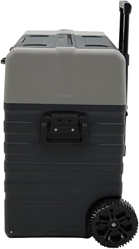 Miniatura 4 de Massimo Motor E-Kooler - Refrigerador de viaje ACDC para vehículo, RV, barco, pesca, camping, eléctrico sin isél, congelador portátil, control de