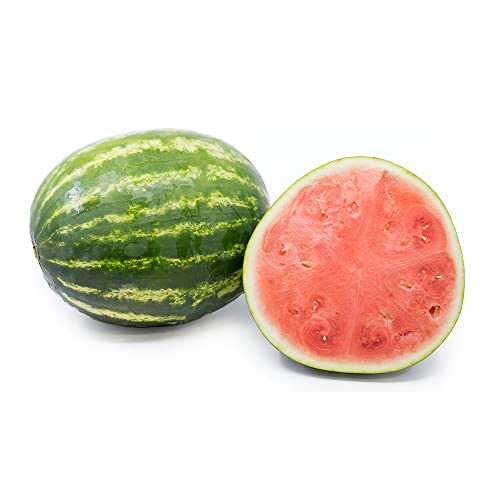 Amae Seedless Watermelon - Handpicked 1 piece 4kg