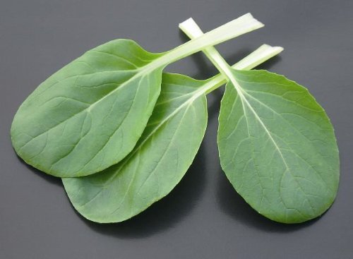Just Seed - Vegetable - Pak Choi - Canton Dwarf - 200 Seeds - Economy Pack