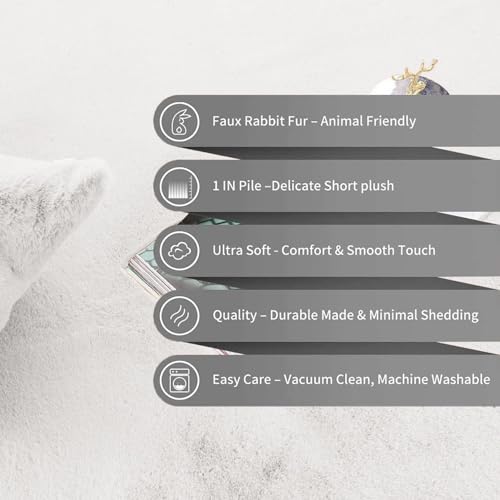 Image of Super Soft Rabbit Fur Silk Wool Carpet Thick and Washable Area Rug for Living Room and Bedroom (White, 6 x 9 Feet)