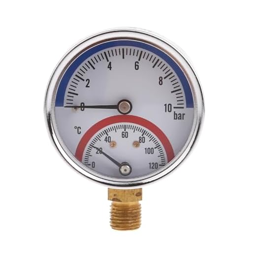 Riiichflowshop Thermal Pressure Gauge 0-10Bar
