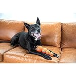 Outward Hound Squeaker Ballz Fetch Dog Toy, Medium - 4 Pack - Image 2